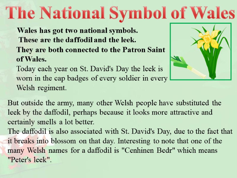 Wales has got two national symbols.  These are the daffodil and the leek.